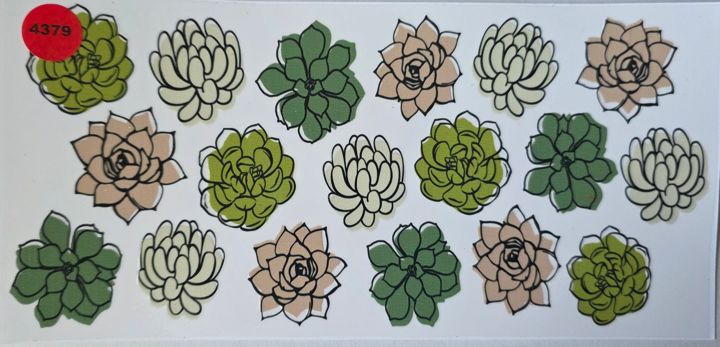 4379 SUCCULENTS