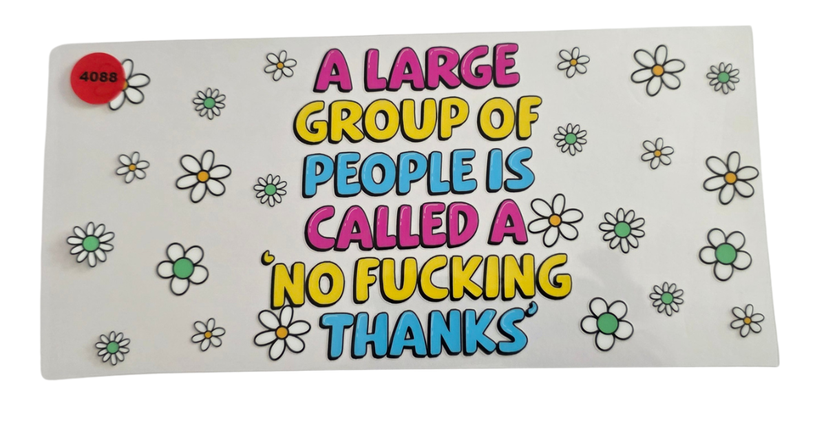 4088 LARGE GROUP OF PEOPLE CALLED NO FUCKING THANKS
