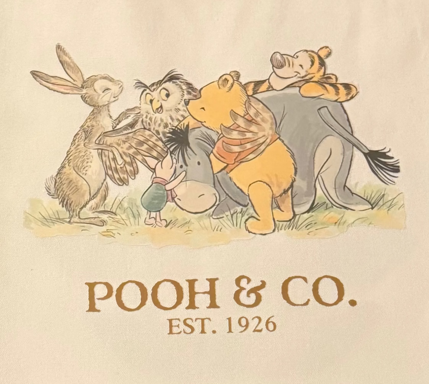 POOH & CO TOTE BAG TRANSFER
