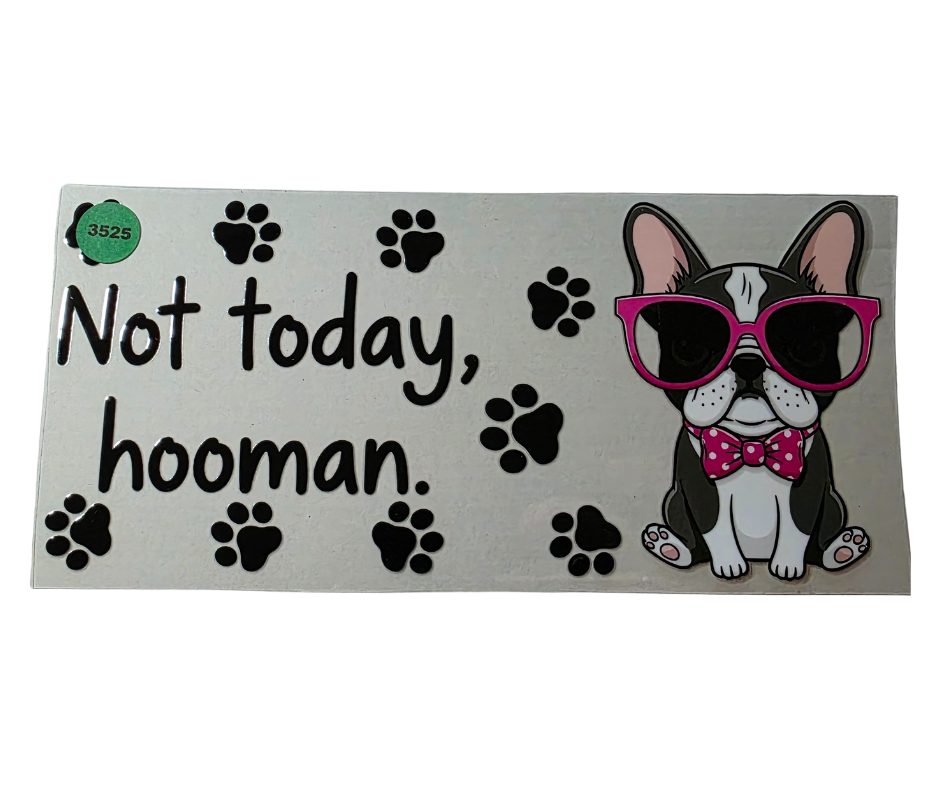 3525 NOT TODAY HOOMAN