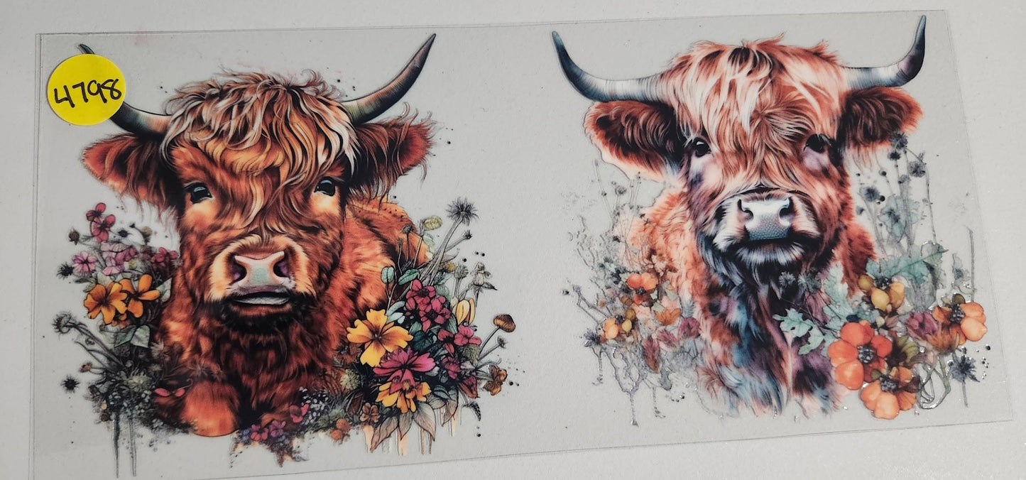 4798 HIGHLAND COW CUP DECAL (DOUBLE SIDED)