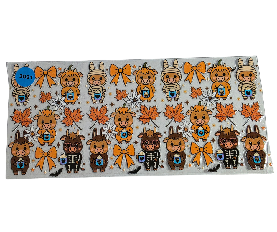 3091 FALL HIGHLAND COWS