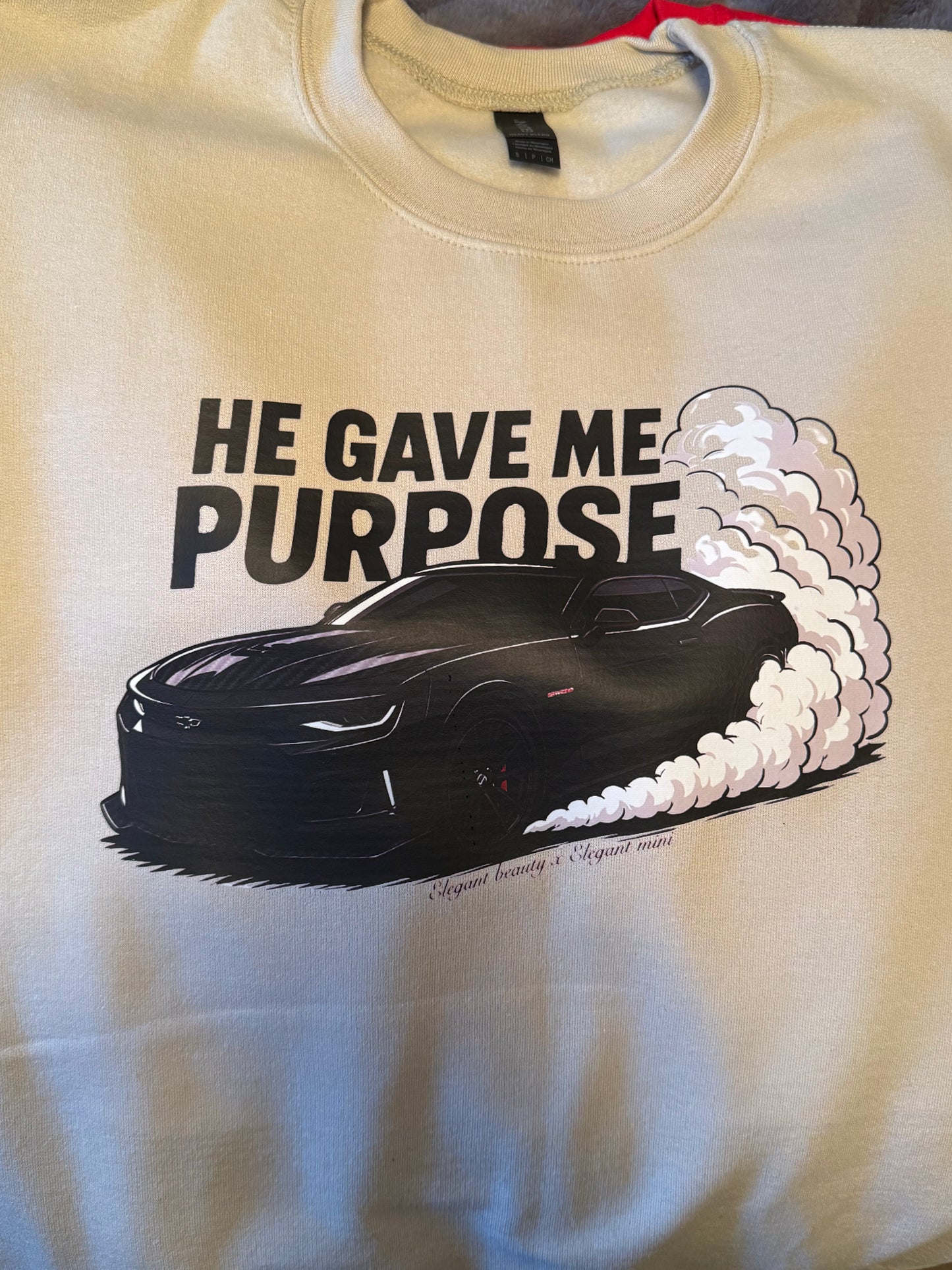 TAN HE GAVE ME PURPOSE (ADULT)