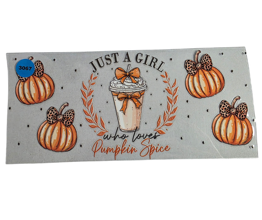 3067 PUMPKIN SPICE