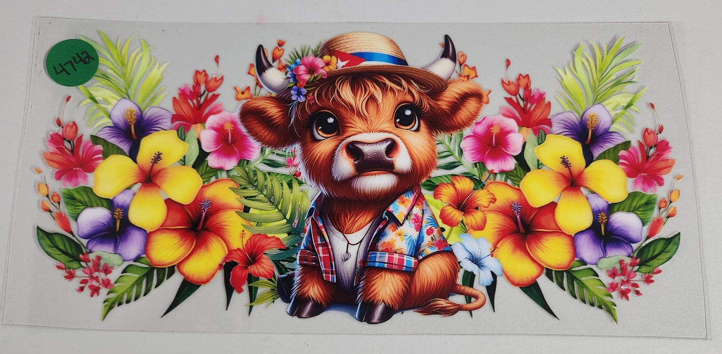 4742 HIGHLAND COW CUP DECAL