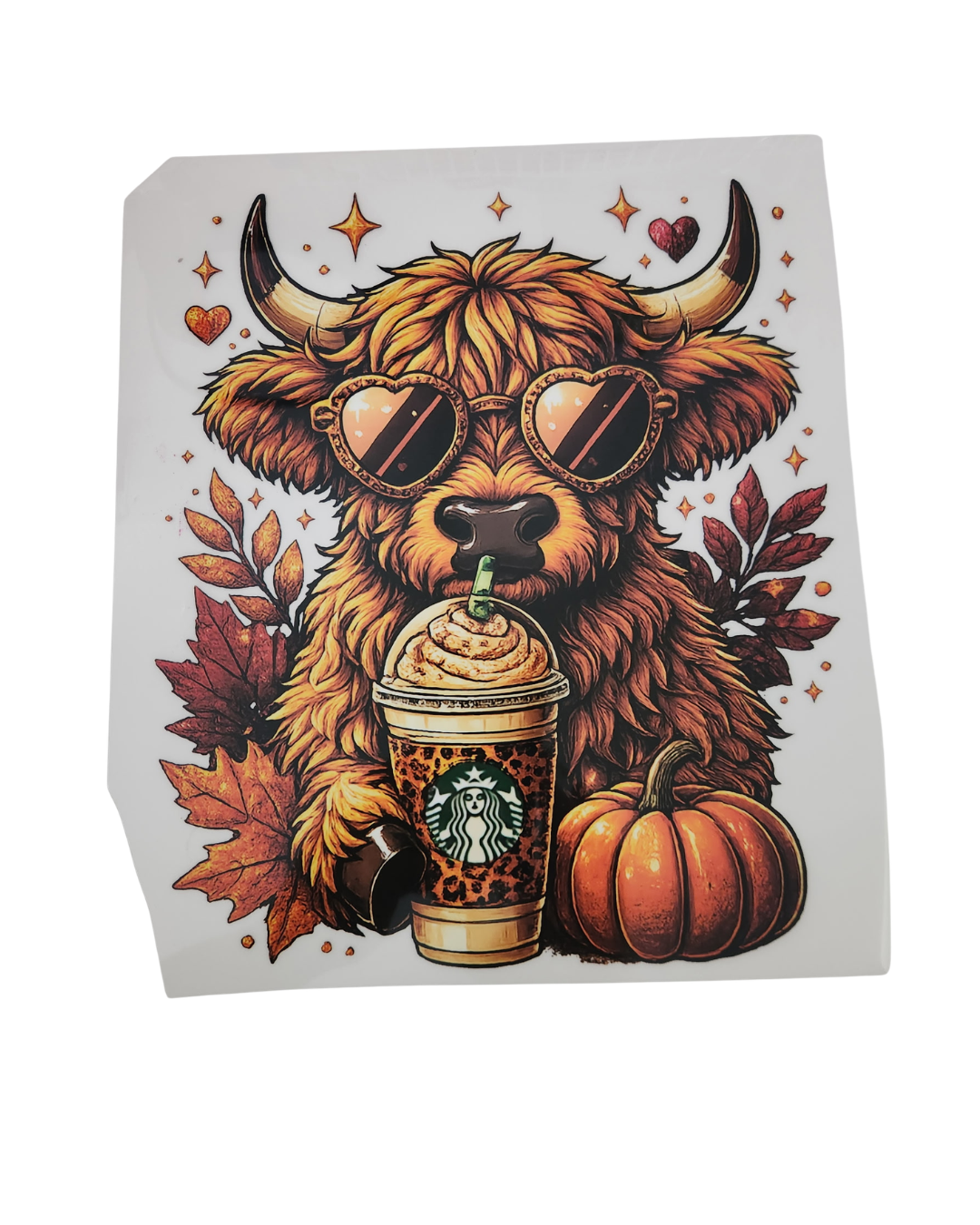 1137 HIGHLAND COW STARBUCKS SHIRT TRANSFER