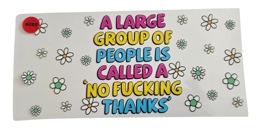 4088 LARGE GROUP OF PEOPLE CALLED NO FUCKING THANKS