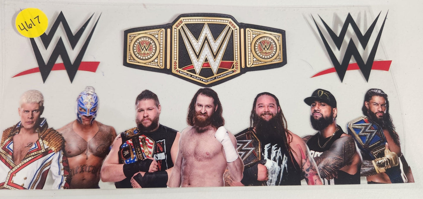 4617 WWE CUP DECAL