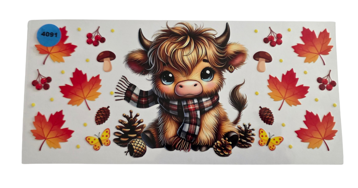4091 FALL HIGHLAND COW