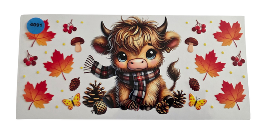 4091 FALL HIGHLAND COW
