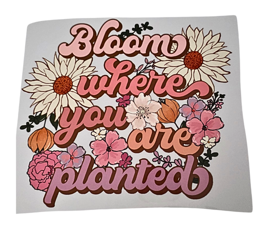 865 BLOOM WHERE YOU ARE PLANTED