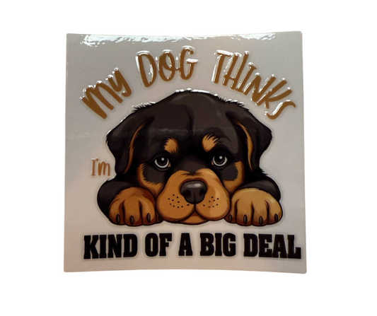 MY DOG THINKS IM KIND OF A BIG DEAL (SINGLE)
