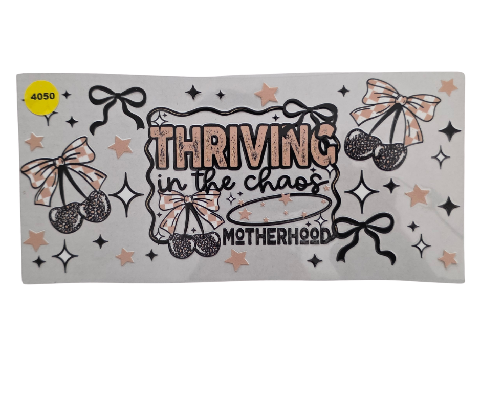 4050 THRIVING IN THE CHAOS