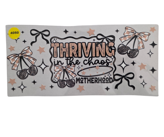 4050 THRIVING IN THE CHAOS
