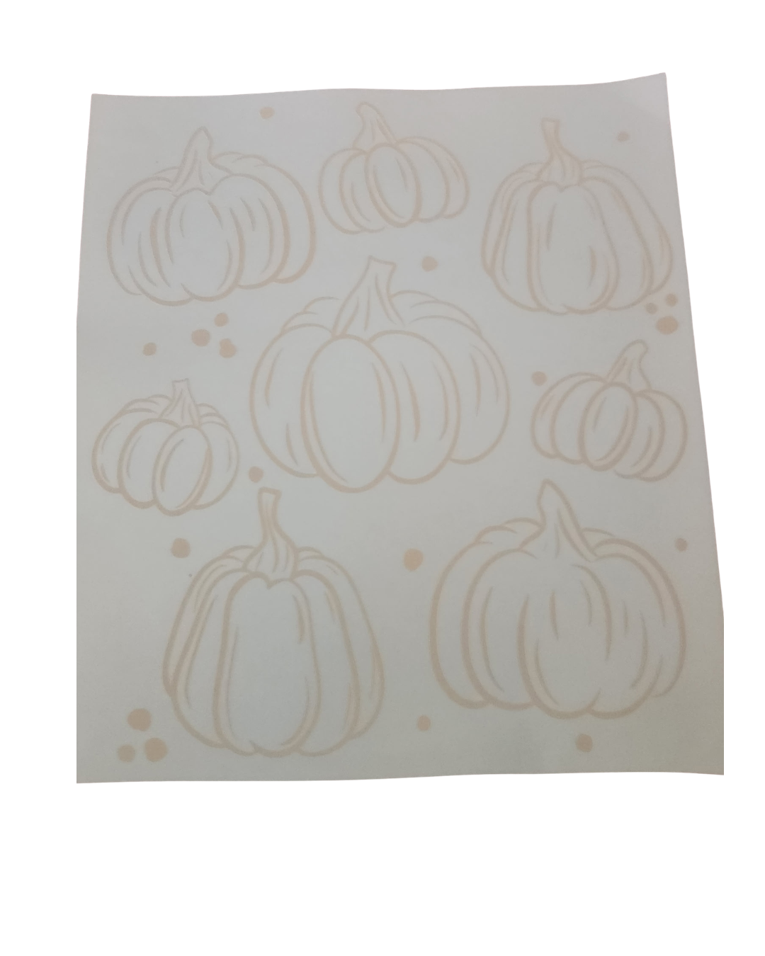 1191 PUMPKINS SHIRT TRANSFER