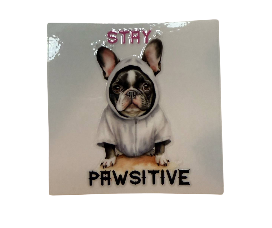 STAY PAWSITIVE (SINGLE)