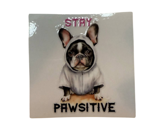 STAY PAWSITIVE (SINGLE)