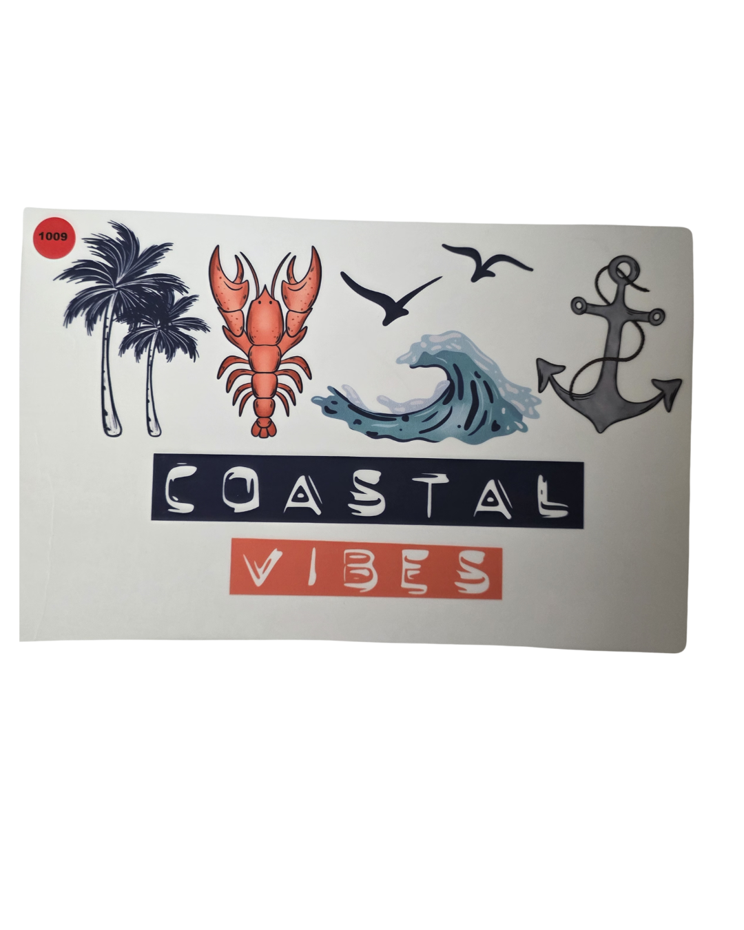 1009 COASTAL VIBES SHIRT TRANSFER
