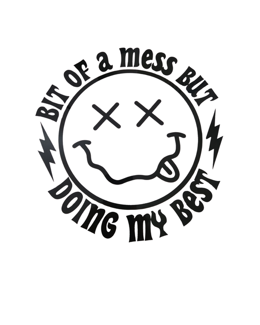 1158 BIT OF A MESS SHIRT TRANSFER