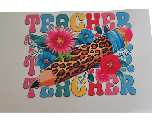 567 TEACHER TRANSFER