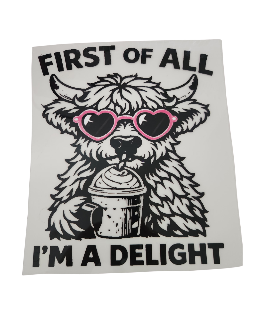 1163 IM A DELIGHT SHIRT TRANSFER