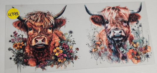 4798 HIGHLAND COW CUP DECAL (DOUBLE SIDED)