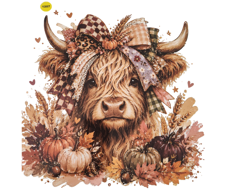 1207 HIGHLAND COW SHIRT TRANSFER
