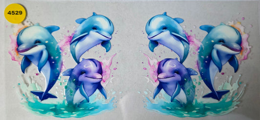 4529 DOLPHINS