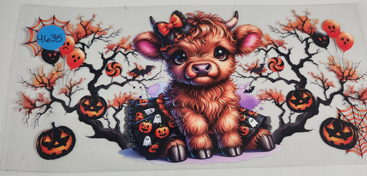 4635 HIGHLAND COW CUP DECAL