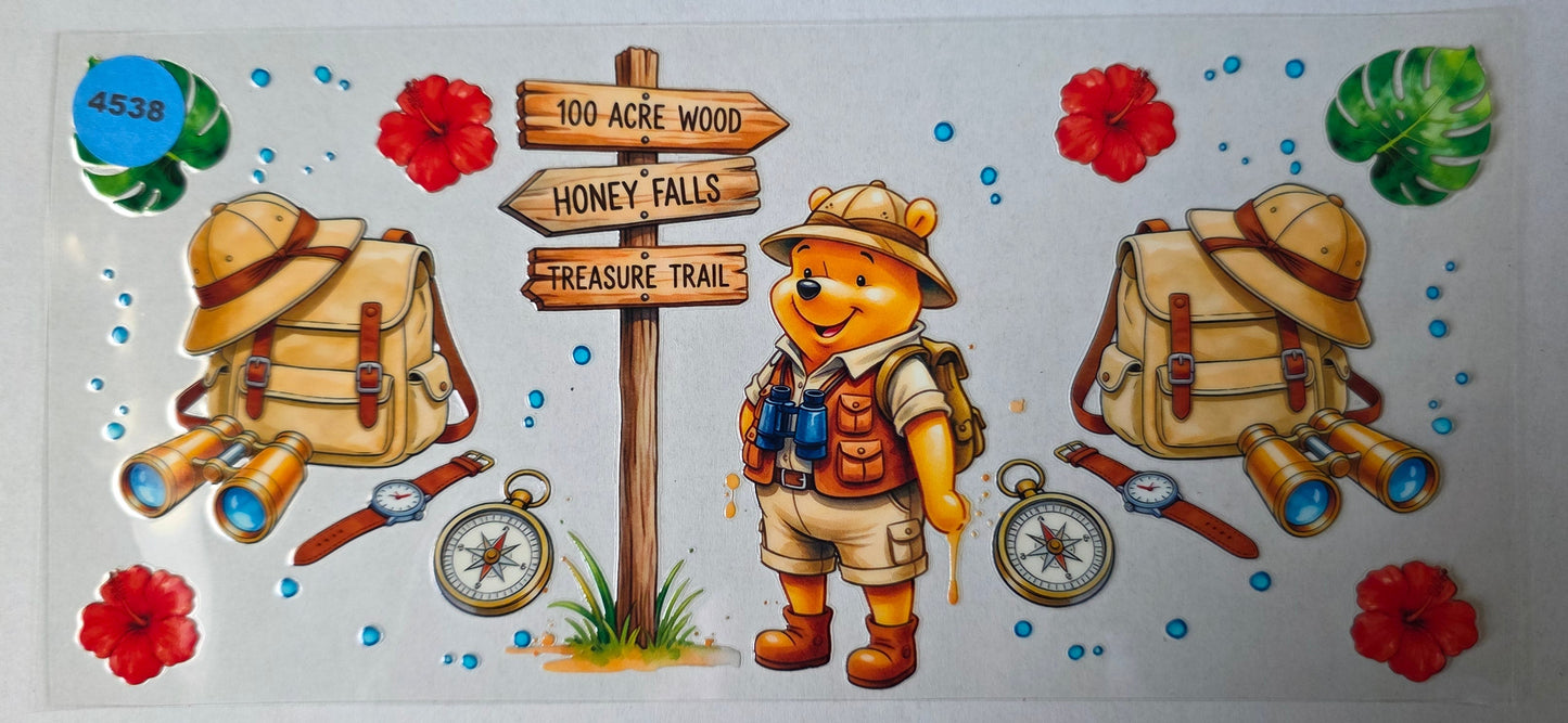 4538 POOH