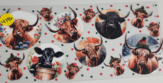4796 HIGHLAND COW CUP DECAL (DOUBLE SIDED)