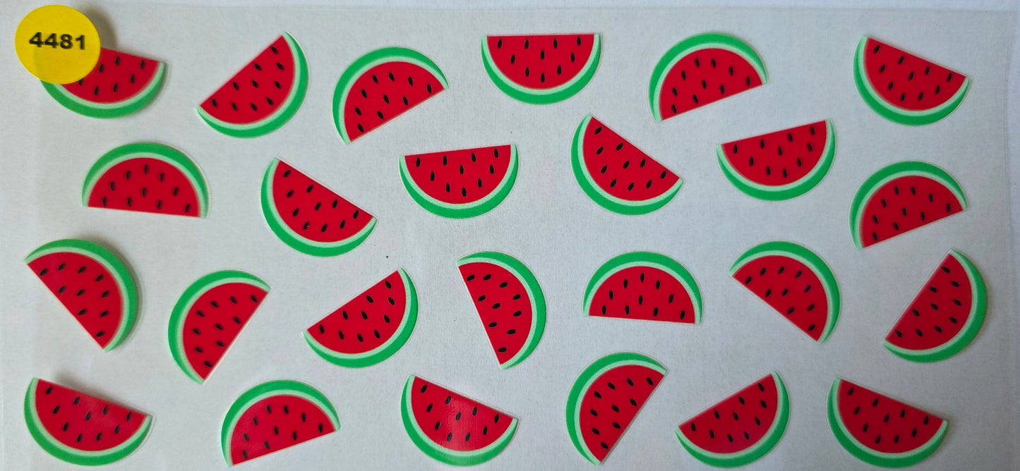 4481 WATERMELON